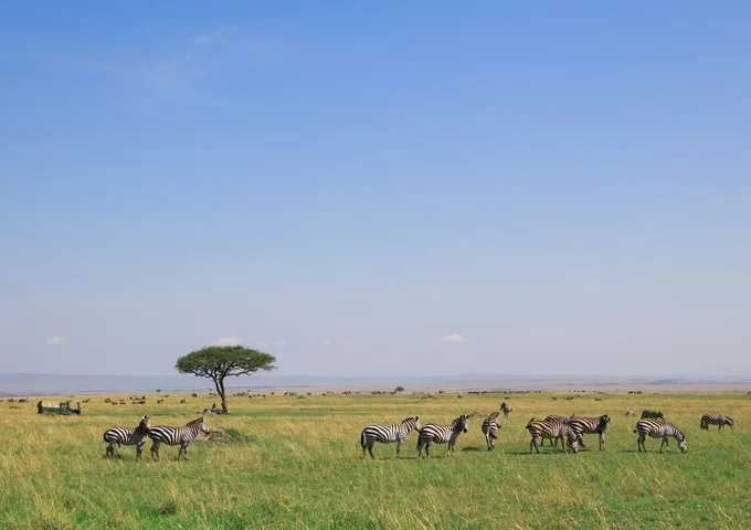 10 DAYS 9 NIGHTS KENYA AND TANZANIA SAFARI