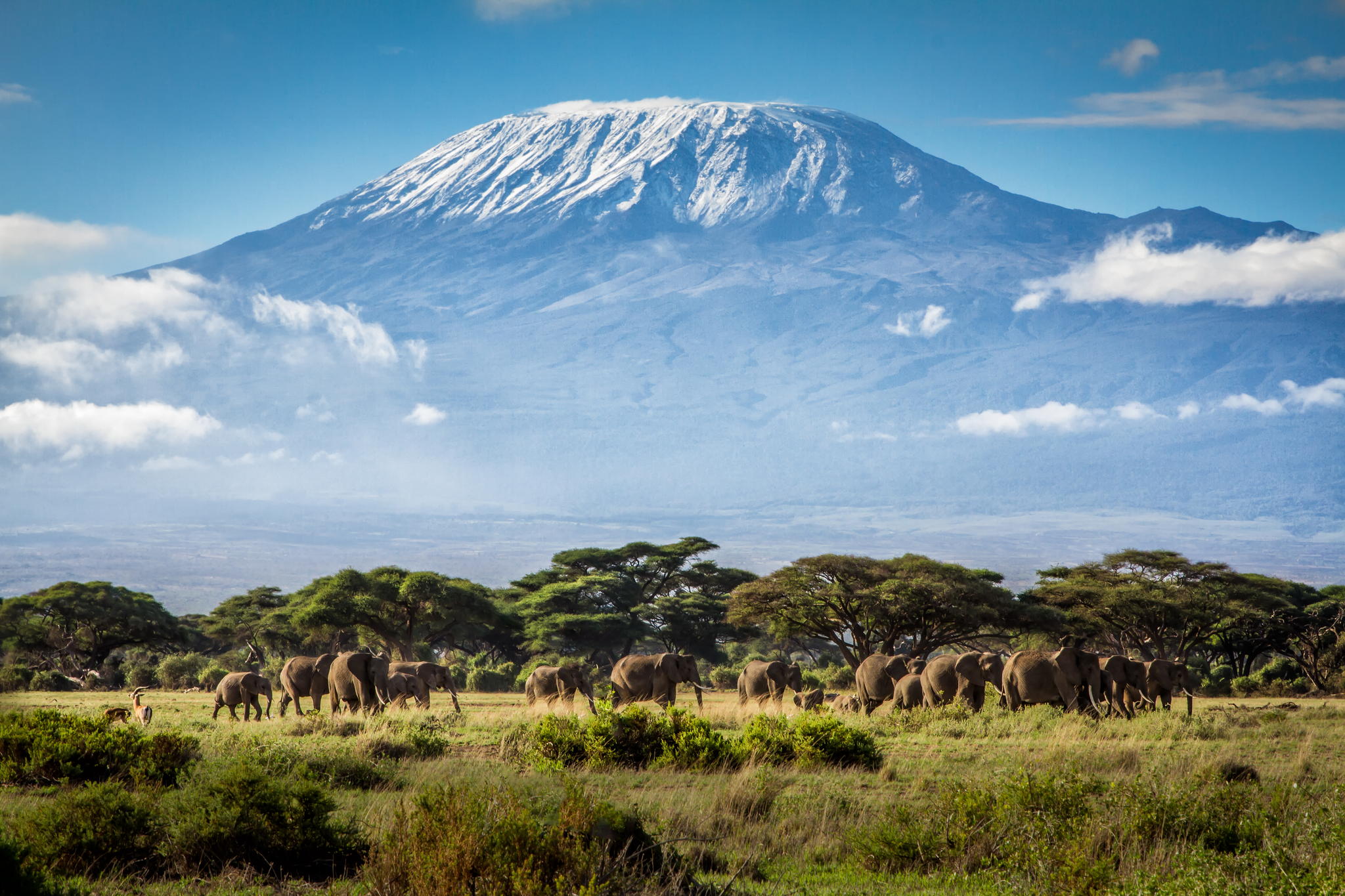 3 DAYS  2 NIGHTS AMBOSELI PACKAGE