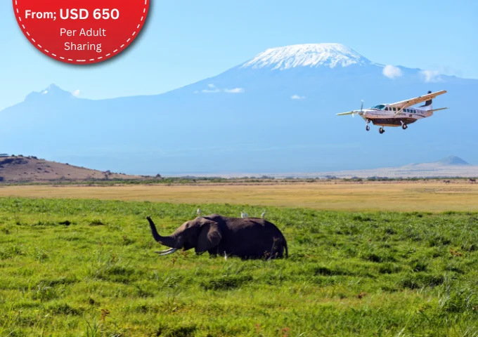 Fly-In Ol Tukai Lodge Amboseli Safari Package