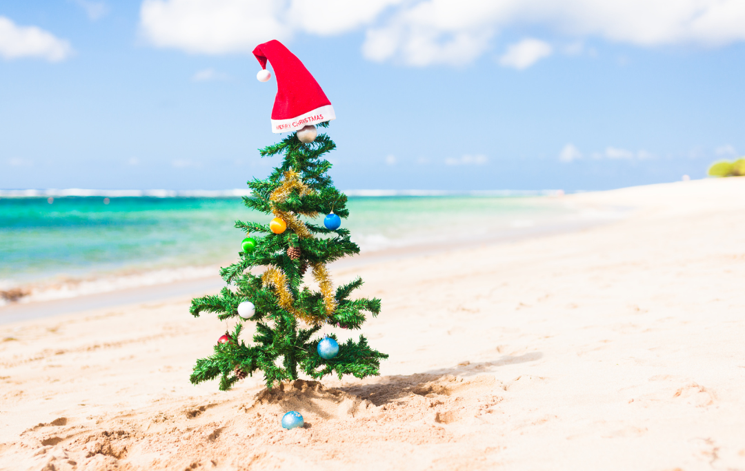 Mombasa Early Bird Christmas and New Year holiday package 2024